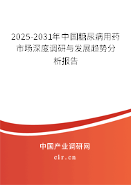 2025-2031年中國糖尿病用藥市場深度調研與發(fā)展趨勢分析報告 2025-2031年中國糖尿病用藥市場深度調研與發(fā)展趨勢分析報告
