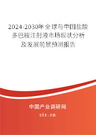 2024-2030年全球與中國鹽酸多巴胺注射液市場現(xiàn)狀分析及發(fā)展前景預(yù)測報(bào)告