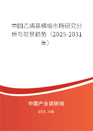 中國(guó)乙烯基橫幅市場(chǎng)研究分析與前景趨勢(shì)(2025-2031年) 中國(guó)乙烯基橫幅市場(chǎng)研究分析與前景趨勢(shì)(2025-2031年)