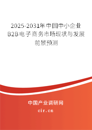 2025-2031年中國中小企業(yè)B2B電子商務市場現狀與發(fā)展前景預測