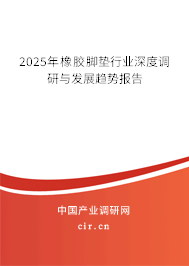2025年橡膠腳墊行業(yè)深度調研與發(fā)展趨勢報告 2025年橡膠腳墊行業(yè)深度調研與發(fā)展趨勢報告