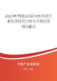 2025年中國EDI超純水系統(tǒng)行業(yè)現(xiàn)狀研究分析與市場前景預(yù)測報告