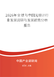 2026年全球與中國(guó)光柵計(jì)行業(yè)發(fā)展調(diào)研與發(fā)展趨勢(shì)分析報(bào)告