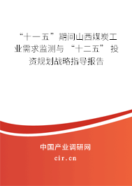 “十一五”期間山西煤炭工業(yè)需求監(jiān)測(cè)與 “十二五” 投資規(guī)劃戰(zhàn)略指導(dǎo)報(bào)告 “十一五”期間山西煤炭工業(yè)需求監(jiān)測(cè)與 “十二五” 投資規(guī)劃戰(zhàn)略指導(dǎo)報(bào)告