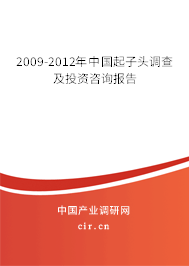 2009-2012年中國起子頭調(diào)查及投資咨詢報告