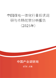 中國(guó)煤電一體化行業(yè)現(xiàn)狀調(diào)研與市場(chǎng)前景分析報(bào)告（2025年）