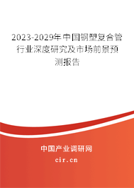 2023-2029年中國鋼塑復合管行業(yè)深度研究及市場前景預測報告