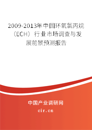2009-2013年中國(guó)環(huán)氧氯丙烷（ECH）行業(yè)市場(chǎng)調(diào)查與發(fā)展前景預(yù)測(cè)報(bào)告