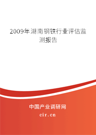 2009年湖南鋼鐵行業(yè)評估監(jiān)測報告