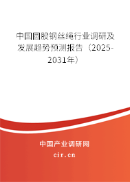 中國圓股鋼絲繩行業(yè)調(diào)研及發(fā)展趨勢預(yù)測報(bào)告（2025-2031年）