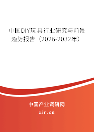 中國(guó)DIY玩具行業(yè)研究與前景趨勢(shì)報(bào)告（2026-2032年）