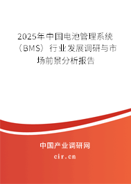 2025年中國電池管理系統(tǒng)（BMS）行業(yè)發(fā)展調(diào)研與市場前景分析報告