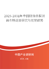 2025-2031年中國硅微條探測器市場調(diào)查研究與前景趨勢