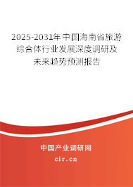 2025-2031年中國海南省旅游綜合體行業(yè)發(fā)展深度調(diào)研及未來趨勢預(yù)測報(bào)告