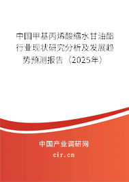 中國甲基丙烯酸縮水甘油酯行業(yè)現(xiàn)狀研究分析及發(fā)展趨勢預(yù)測報(bào)告（2025年）