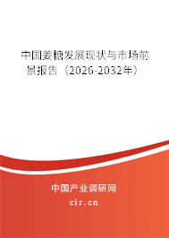 中國姜糖發(fā)展現(xiàn)狀與市場前景報告(2026-2032年) 中國姜糖發(fā)展現(xiàn)狀與市場前景報告(2026-2032年)