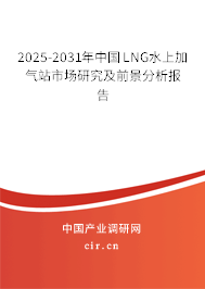 2025-2031年中國(guó)LNG水上加氣站市場(chǎng)研究及前景分析報(bào)告