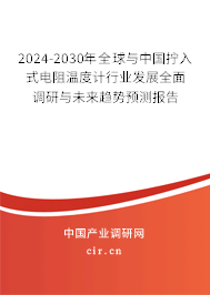 2024-2030年全球與中國(guó)擰入式電阻溫度計(jì)行業(yè)發(fā)展全面調(diào)研與未來(lái)趨勢(shì)預(yù)測(cè)報(bào)告