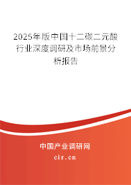 2025年版中國十二碳二元酸行業(yè)深度調(diào)研及市場前景分析報告 2025年版中國十二碳二元酸行業(yè)深度調(diào)研及市場前景分析報告