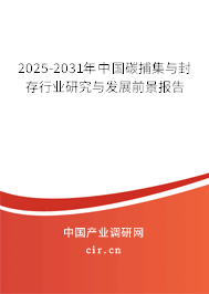 2025-2031年中國(guó)碳捕集與封存行業(yè)研究與發(fā)展前景報(bào)告 2025-2031年中國(guó)碳捕集與封存行業(yè)研究與發(fā)展前景報(bào)告