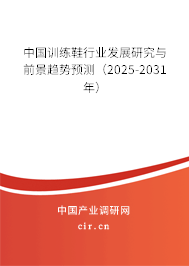 中國訓(xùn)練鞋行業(yè)發(fā)展研究與前景趨勢預(yù)測（2025-2031年）