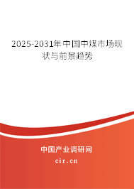 2026-2032年中國中煤市場現(xiàn)狀與前景趨勢