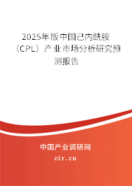 2025年版中國己內(nèi)酰胺(CPL)產(chǎn)業(yè)市場分析研究預(yù)測報告 2025年版中國己內(nèi)酰胺(CPL)產(chǎn)業(yè)市場分析研究預(yù)測報告