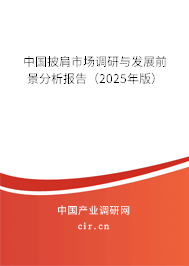 中國(guó)披肩市場(chǎng)調(diào)研與發(fā)展前景分析報(bào)告（2025年版）