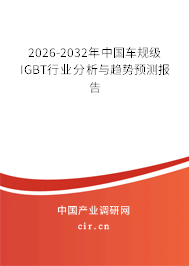 2026-2032年中國車規(guī)級IGBT行業(yè)分析與趨勢預(yù)測報(bào)告 2026-2032年中國車規(guī)級IGBT行業(yè)分析與趨勢預(yù)測報(bào)告