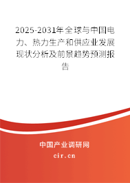 2025-2031年全球與中國電力、熱力生產(chǎn)和供應(yīng)業(yè)發(fā)展現(xiàn)狀分析及前景趨勢預(yù)測報告