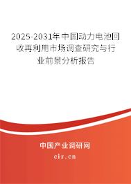 2025-2031年中國動力電池回收再利用市場調(diào)查研究與行業(yè)前景分析報告