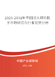 2026-2032年中國活頭棘輪扳手市場研究與行業(yè)前景分析