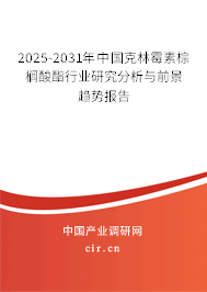 2025-2031年中國(guó)克林霉素棕櫚酸酯行業(yè)研究分析與前景趨勢(shì)報(bào)告