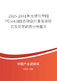 2025-2031年全球與中國PCIe4.0固態(tài)硬盤行業(yè)發(fā)展研究及前景趨勢分析報告