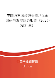 中國汽車滾裝碼頭市場全面調(diào)研與發(fā)展趨勢報告（2025-2031年）