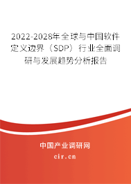 2022-2028年全球與中國(guó)軟件定義邊界（SDP）行業(yè)全面調(diào)研與發(fā)展趨勢(shì)分析報(bào)告