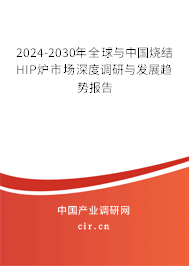 2024-2030年全球與中國燒結HIP爐市場深度調(diào)研與發(fā)展趨勢報告