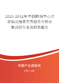 2025-2031年中國數(shù)據(jù)中心IT基礎(chǔ)設(shè)施第三方服務(wù)市場全面調(diào)研與發(fā)展趨勢報告