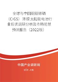 全球與中國銅銦鎵硒（CIGS）薄膜太陽能電池行業(yè)現(xiàn)狀調(diào)研分析及市場前景預(yù)測報(bào)告（2022版）