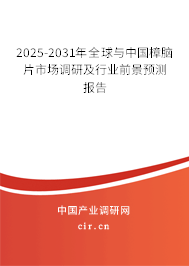 2025-2031年全球與中國樟腦片市場調(diào)研及行業(yè)前景預(yù)測報告
