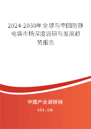 2024-2030年全球與中國(guó)防靜電袋市場(chǎng)深度調(diào)研與發(fā)展趨勢(shì)報(bào)告