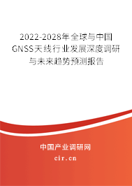 2022-2028年全球與中國GNSS天線行業(yè)發(fā)展深度調(diào)研與未來趨勢預(yù)測報告