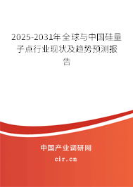 2025-2031年全球與中國硅量子點行業(yè)現(xiàn)狀及趨勢預測報告