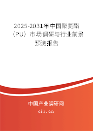 2025-2031年中國聚氨酯(PU)市場調(diào)研與行業(yè)前景預測報告 2025-2031年中國聚氨酯(PU)市場調(diào)研與行業(yè)前景預測報告