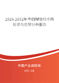 2025-2031年中國埋管柱市場現(xiàn)狀與前景分析報告