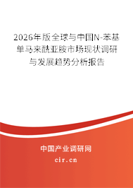 2026年版全球與中國N-苯基單馬來酰亞胺市場現(xiàn)狀調(diào)研與發(fā)展趨勢分析報告