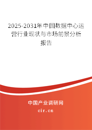2025-2031年中國數(shù)據(jù)中心運營行業(yè)現(xiàn)狀與市場前景分析報告
