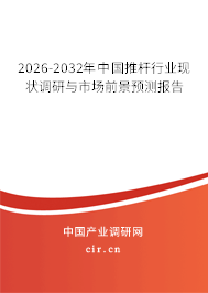 2025-2031年中國推桿行業(yè)現狀調研與市場前景預測報告 2025-2031年中國推桿行業(yè)現狀調研與市場前景預測報告