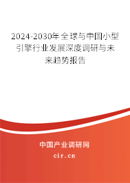 2024-2030年全球與中國小型引擎行業(yè)發(fā)展深度調(diào)研與未來趨勢報告