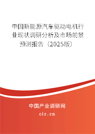 中國新能源汽車驅(qū)動電機(jī)行業(yè)現(xiàn)狀調(diào)研分析及市場前景預(yù)測報告(2025版) 中國新能源汽車驅(qū)動電機(jī)行業(yè)現(xiàn)狀調(diào)研分析及市場前景預(yù)測報告(2025版)